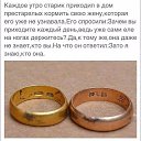 ���� ����, ��������, 62 ���� - ��������� 15 ��� 2016 � ������ ���� ����������