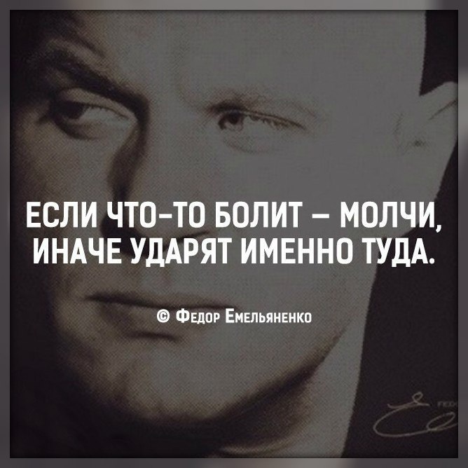 Natali-koshka - 22  2016  11:09