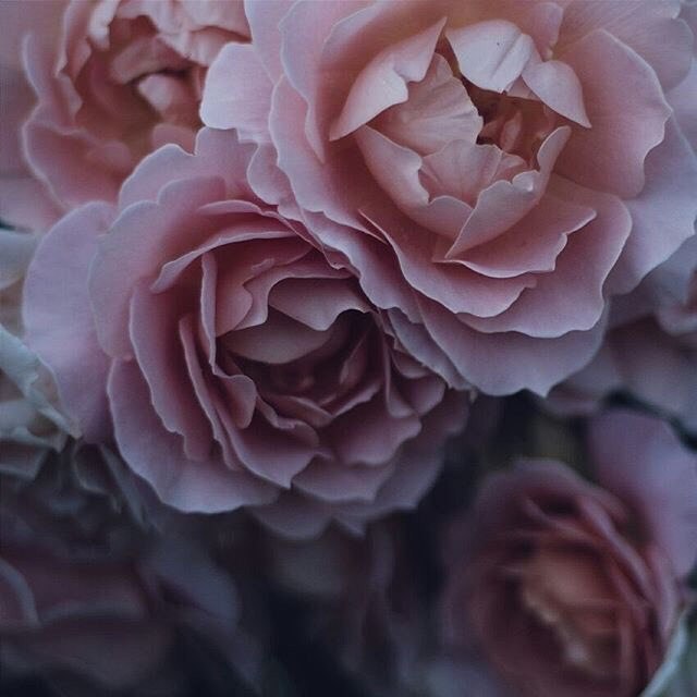          ,    .   ... - 3