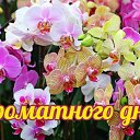 ���� ����, ����������� - ��������� 4 ������ 2016 � ������ �������� ��������