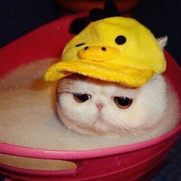 ����, ������, 24 ����