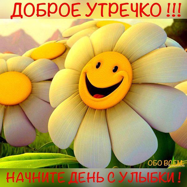 Просыпаясь – улыбайтесь! И тогда удастся день! И тогда на сердце Вашем Вдруг сойдет печали тень! ...