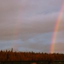 ������ �� ������� ������ ��������