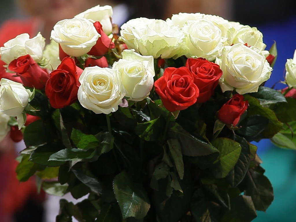 .     !!! Ѩ -!!!    !!!  " ...