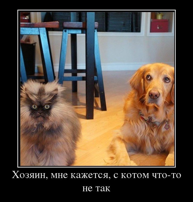 ***Victoria Viktorovna*** - 11  2016  08:48