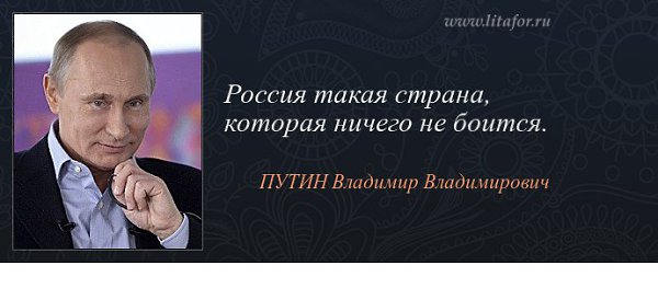 Высказывания о современном мире. Известные юристы высказывания. Цитаты про закон. Высказывания о законе. Цитаты известных юристов.