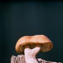 ���� �����, ������������, 59 ��� - ��������� 16 ���� 2016 � ������ ������ �����.�