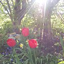 ���� �������, ������� �����, 50 ��� - ��������� 13 ��� 2016 � ������ ���� ������