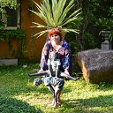   ,    ,    ,  ,     .    - 2016