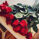 ���� ��������� ���������, ��������� - ��������� 13 ����� 2016 � ������ ��������