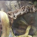 ���� ������, ������, 51 ��� - ��������� 25 ������ 2016 � ������ �����������-11�