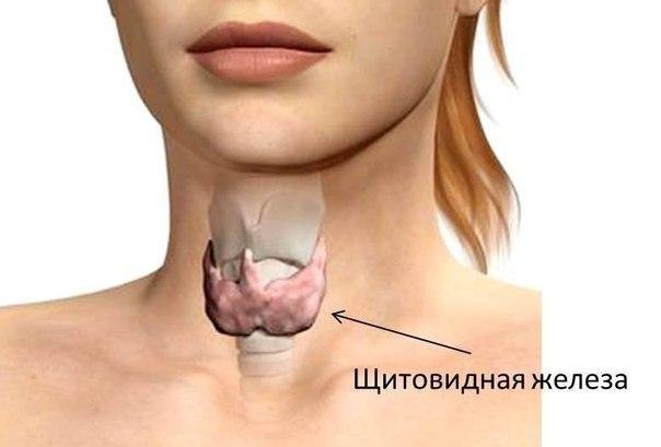 ЗАЩИТИМ ЩИТОВИДКУ НАРОДНЫМИ СРЕДСТВАМИ. В первую очередь, это рацональное питание. Очень полезными ...