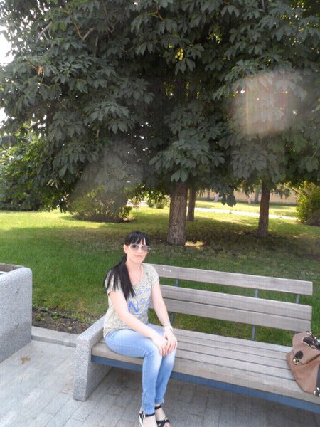 ���� - 29 ���� 2016 � 14:47 - 3