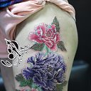 ���� ����� �� ������� ���� �������