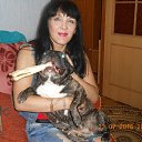 ���� ��������, ����������� - ��������� 23 ���� 2016 � ������ ���� ����������