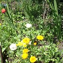 ���� Yusoup, ������, 70 ��� - ��������� 12 ���� 2016 � ������ ���� ����������