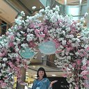 ���� ������, ������������, 40 ��� - ��������� 30 ��� 2016 � ������ ���� ����������