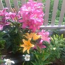 ���� Inga, ������, 45 ��� - ��������� 8 ������� 2016 � ������ �ME�