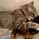 ���� Olga, �������, 60 ��� - ��������� 20 ������� 2016 � ������ ������