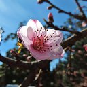  , , 60  -  23  2016       ,18-20.03.16