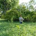 �������� �� ������� ���� �� ������� ������� 2016�