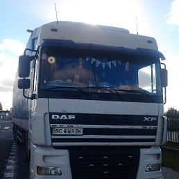 ���� �����, �����, 38 ��� - ��������� 15 ��� 2016