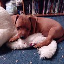 ���� �������, �����-���������, 62 ���� - ��������� 17 ��� 2016 � ������ ���� ����������