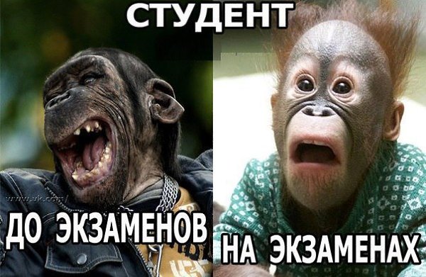    :D - 14  2016  19:08