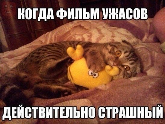 ***Victoria Viktorovna*** - 21  2016  14:46