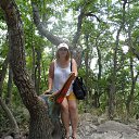  , , 48  -  15  2016    2016