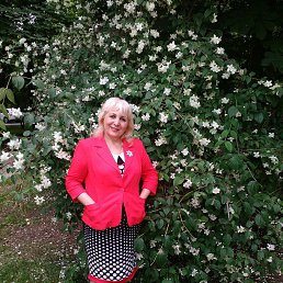 ����, ������, 67 ���