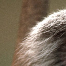 ������, ���������, 56 ���