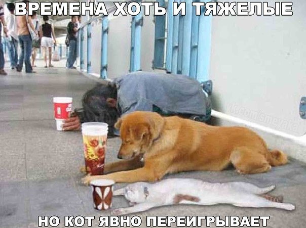   - 10  2016  18:30