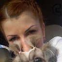 ���� ���, ��������, 42 ���� - ��������� 5 ���� 2016 � ������ ������� ������