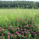 ���� �������, ������ - ��������� 5 ��� 2016 � ������ ������� ���� 2015�