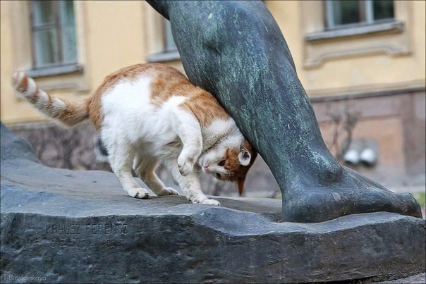              ... - 3