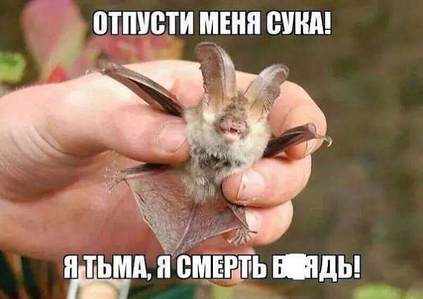 ��������� 18+ - 5 ������� 2016 � 13:24