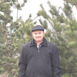 �������, ������, 56 ���