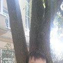 ���� ������, ������, 39 ��� - ��������� 9 ���� 2016 � ������ ����� ���� 2016 ���.�