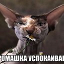  ,  , 63  -  12  2016    