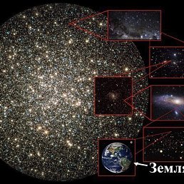 ����, �������, 41 ���