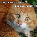 ���� ������, ������ - ��������� 25 ����� 2016 � ������ ������ ��������