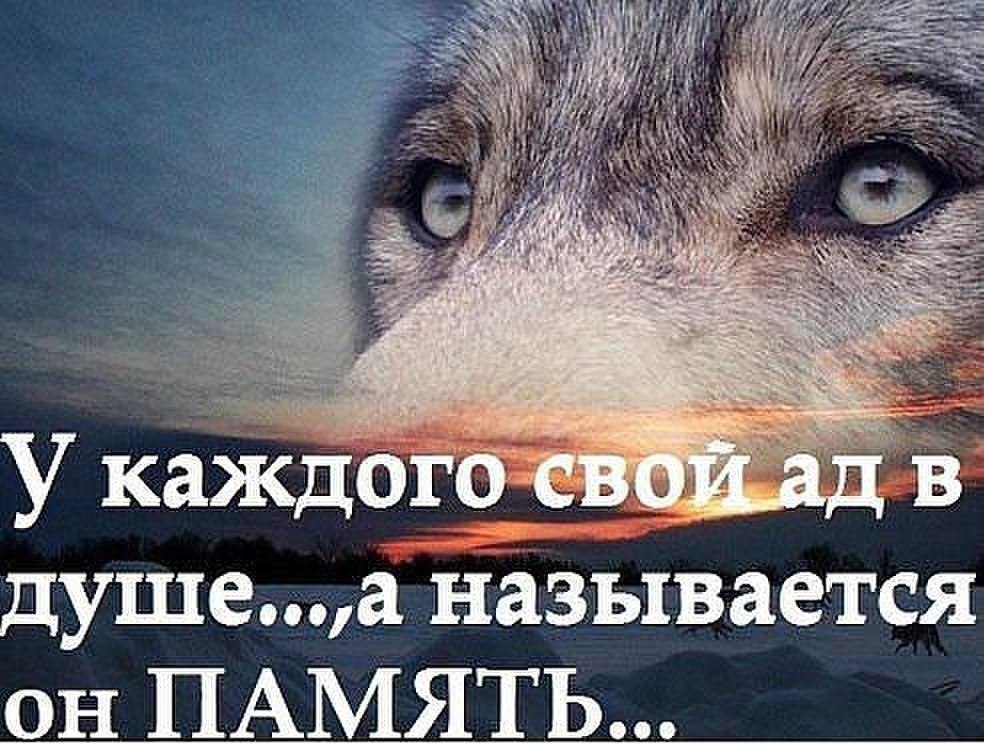  - 15  2016  05:39