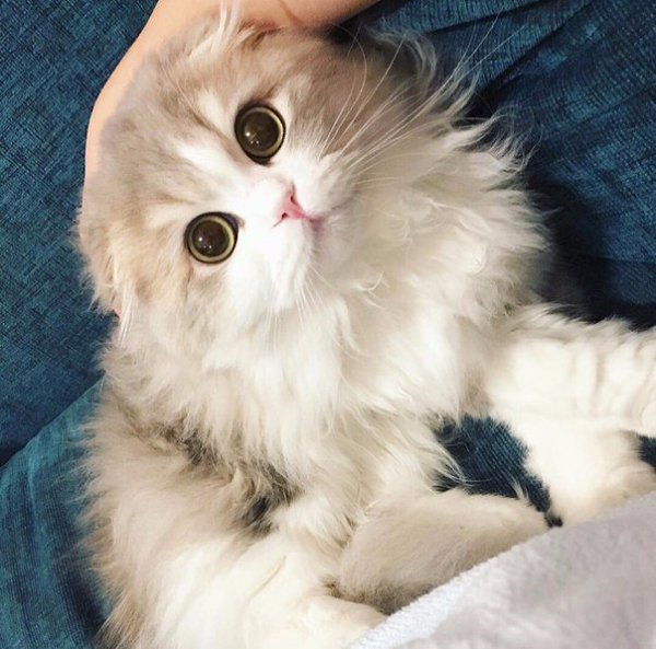   :3 - 6