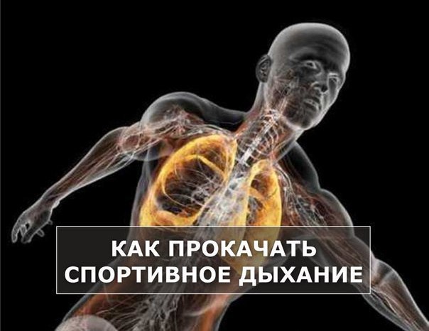 КАК ПРОКАЧАТЬ СПОРТИВНОЕ ДЫХАНИЕ.Процесс дыхания настолько естественен для человека, что мы просто ...