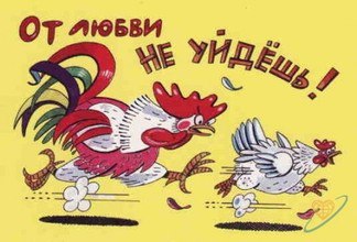 Петух бежит за курицей и думает: - Не догоню, так разогреюсь))) Курица убегает и посматривает на ...