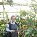 ���� ������, ������, 66 ��� - ��������� 12 ������ 2016 � ������ ������������� ���