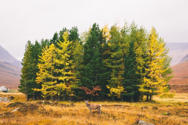 ����� � ���������. - 5