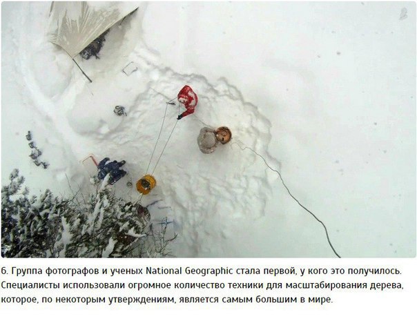 ����� ������� ��� ������ �������, ���������� ������������ 32 ��� - 6