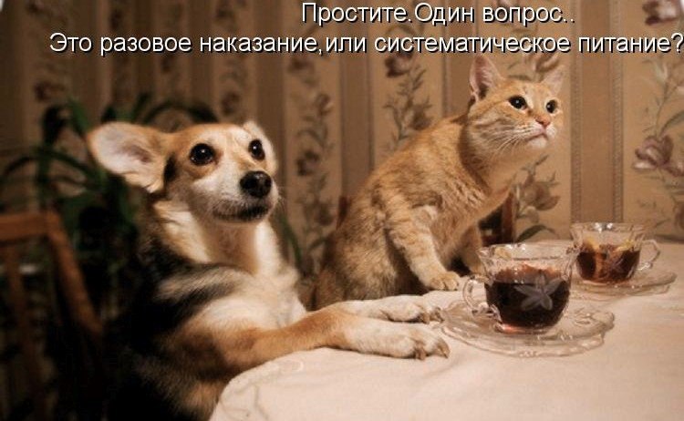 #@bon